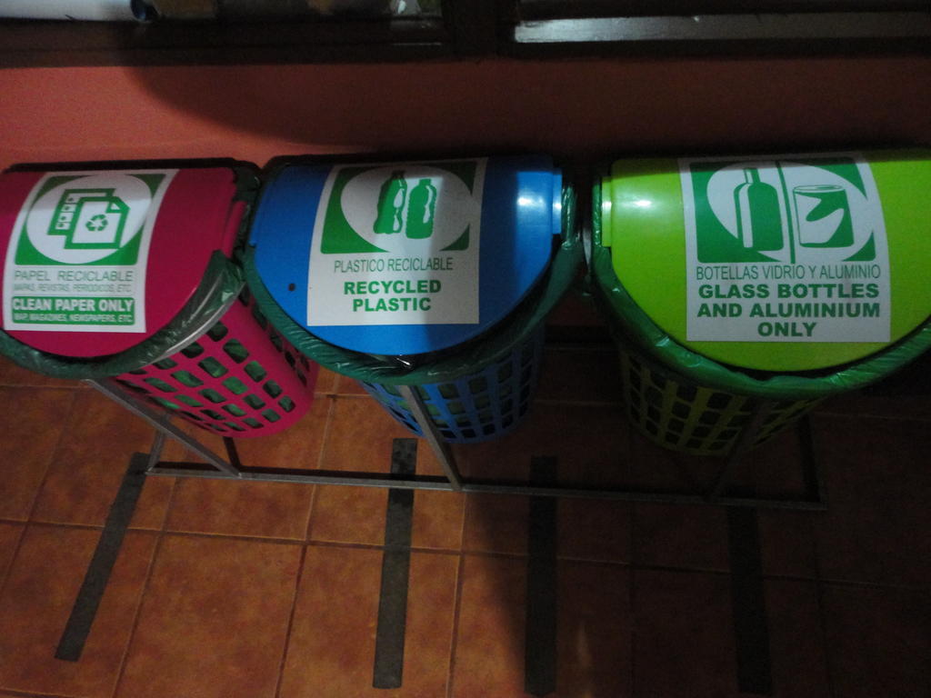卡比纳斯艾迪住宿加早餐旅馆 Monteverde 外观 照片