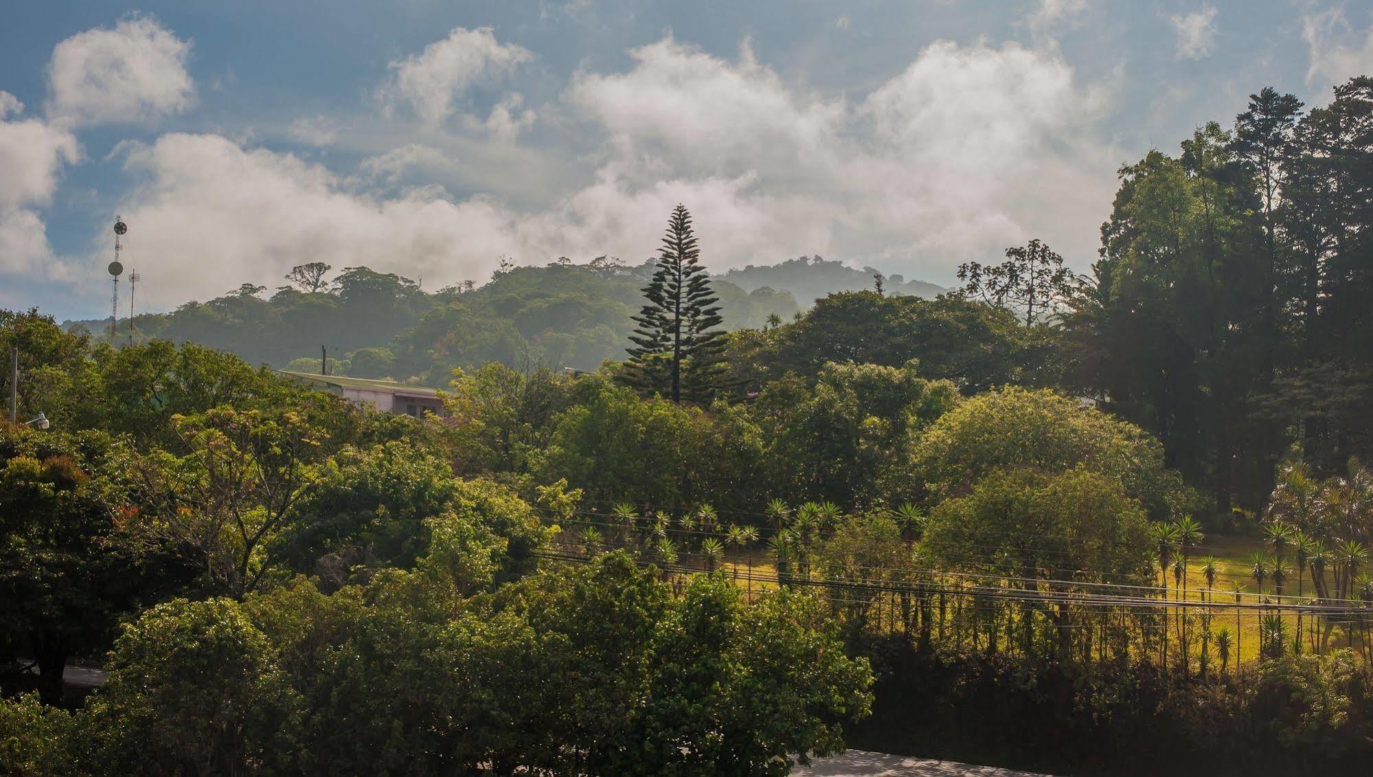 卡比纳斯艾迪住宿加早餐旅馆 Monteverde 外观 照片